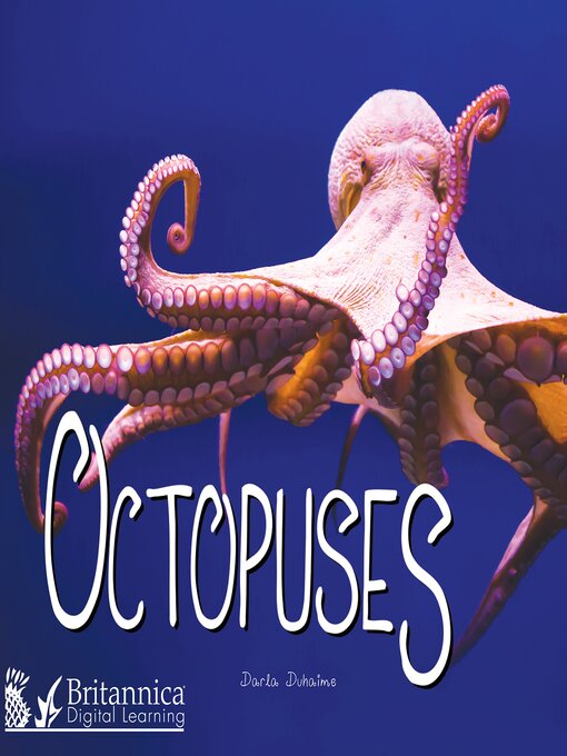 Title details for Octopuses by Darla Duhaime - Available
